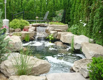 Jardin aquatique